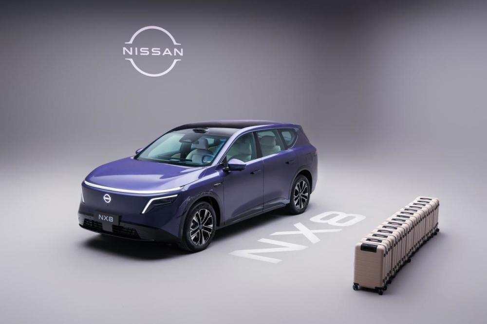 16-装行李箱13个