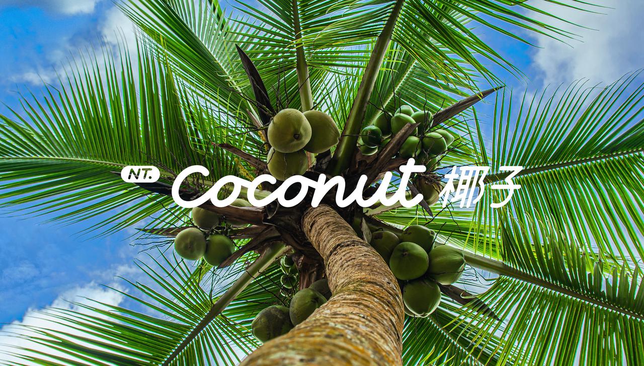 面向未来十年，NT.Coconut 椰子 乐道智能系统正式发布